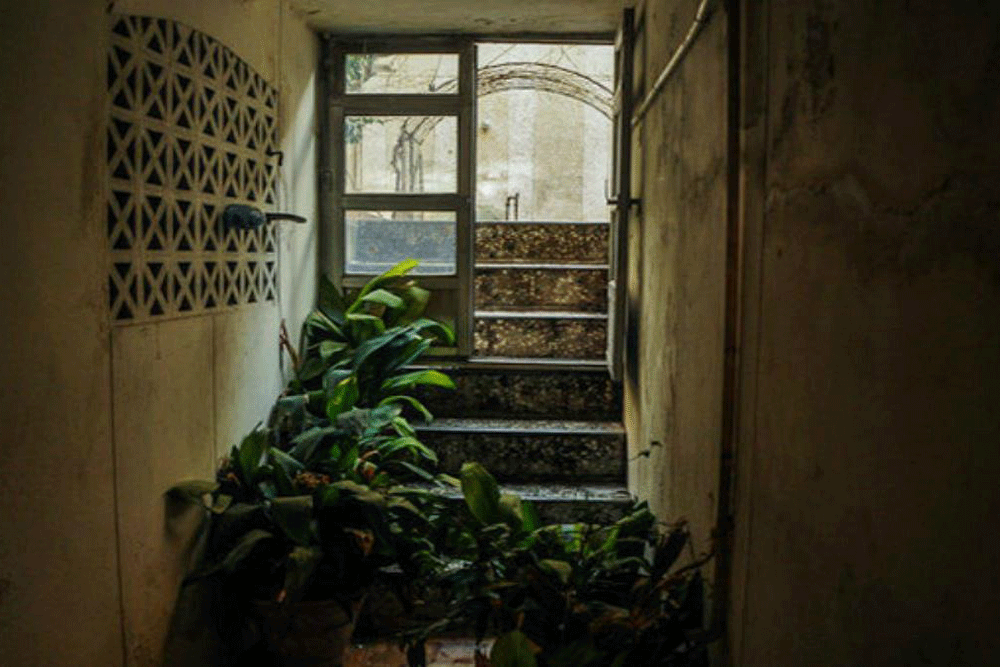 تولد خانهموزه فروغ در امیریه | سکوت خانه پدری شاعر معاصر شکست