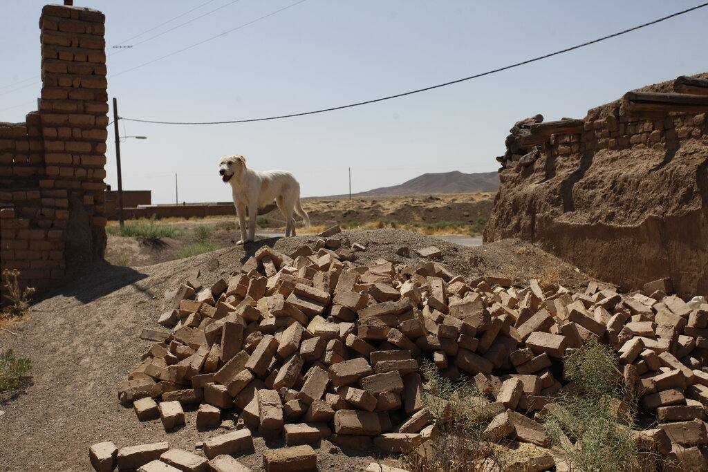 قلعه تاریخی دامداری شد | ماجرای درگیری خونین در «قلعه محمدعلی خان» بر سر خنجر رضاشاه