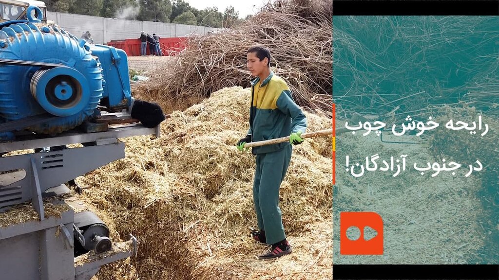 پسماند
