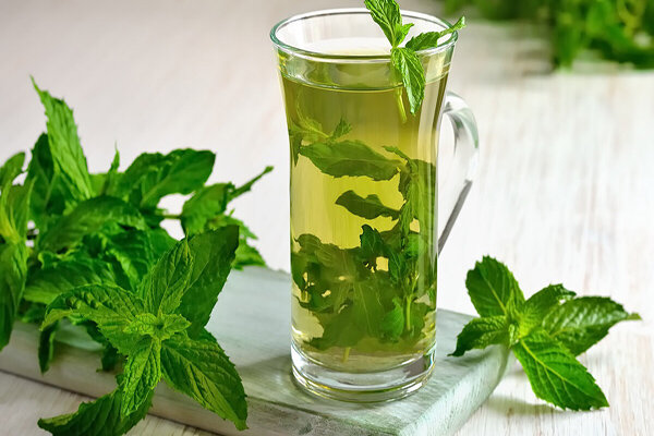 مشهورترین خنککننده طبیعی بدن | عطش و گرمازدگی را با این دمنوشهای تابستانی رفع کنید