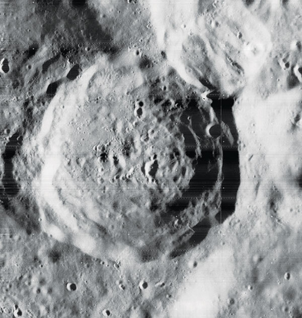 دانشمندی برای تمام فصول