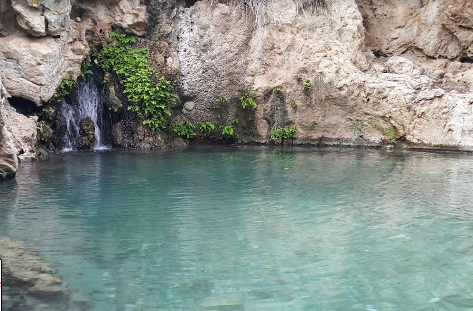 عکس | جاذبههای گردشگری تنگستان ؛ سفر به مزارع تنباکوی ایران | خانه رئیسعلی دلواری کجاست؟
