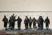ببینید | قتل عام پرندگان مهاجر | تیراندازی شکارچیان به سمت ماموران محیط زیست مازندران و گلستان