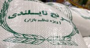 عکس |  توزیع برنج‌ کهنه چهار سال قبل در فروشگاهای زنجیره‌ای‌