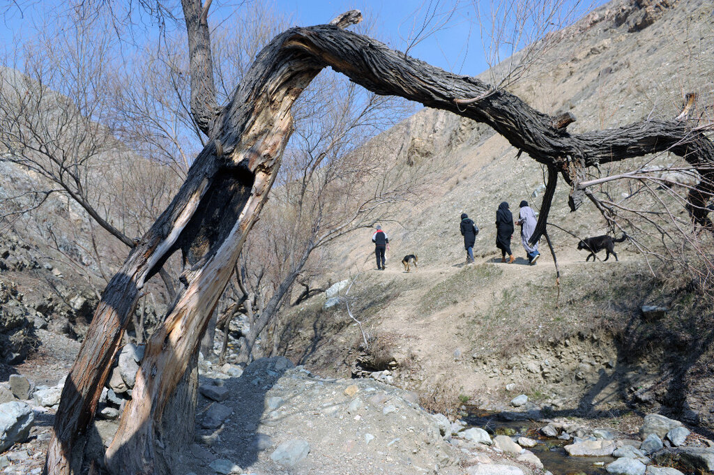 نوشیدن آب زندگانی کنار هفت آبشار | تنگه واشی تهران کجاست؟