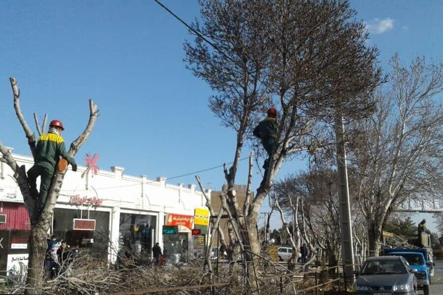 کاهش ترافیک محله چیذر با احداث پارکینگ عمومی / اجرای پروژههای ترافیکی در منطقه 13