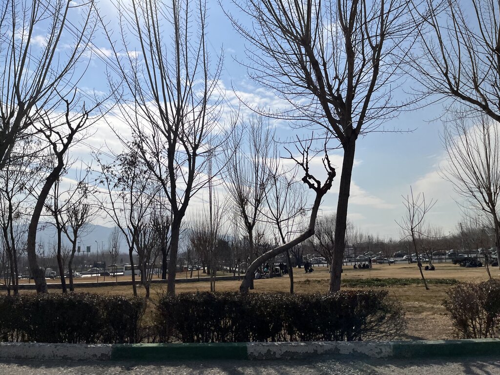 بزرگراه بسیج به دست معتادان افتاد!