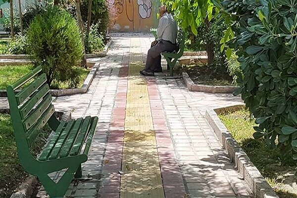 از ایجاد مجموعه بازیهای فکری تا اجرای هر محله یک پسماند مارکت