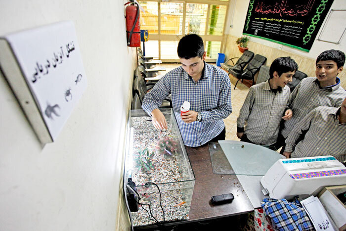 همه فن حریفها | پرسهزنی مفید و دسته جمعی در فضای مجازی