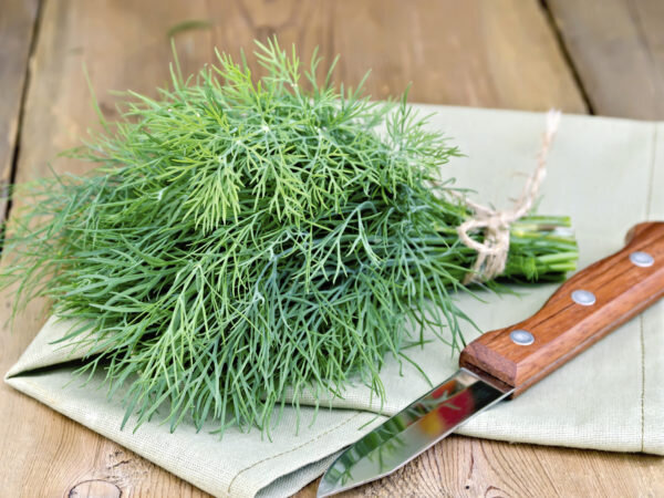 سبزی پرخاصیتی که برای کبد چرب حکم معجزه دارد + روش مصرف