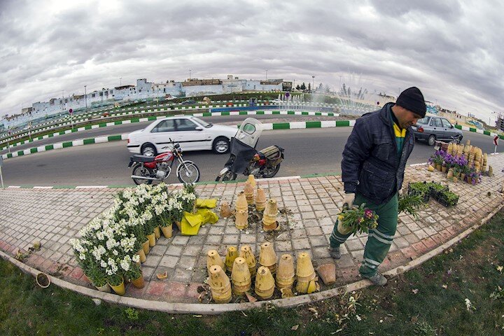 6 منطقه تهران با کمبود شدید فضای سبز روبرو هستند| ایجاد ایستگاه تحقیقاتی برای اصلاح گونه‌های گیاهی
