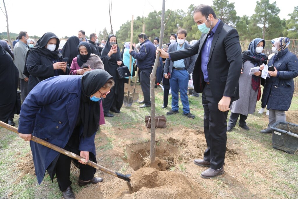 «سمن ها» جایگزین «باغ راز هستی» شد