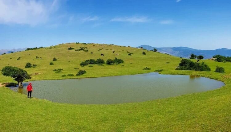 عکس | آبگیر گلدیان؛ بهشتی پنهان در نزدیکی آسمان سرا | تک درختی میان آب که گردشگران را حیران میکند آبگسر گلدیان