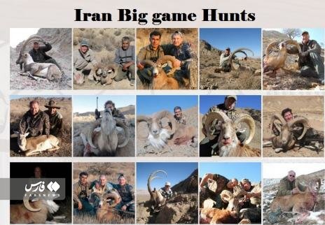 تصاویر | این هم سند حضور شکارچیان آمریکایی و اروپایی در ایران | قرقگاههای شکار با ۳۰ هزار دلار به شکارچیان خارجی فروخته میشوند