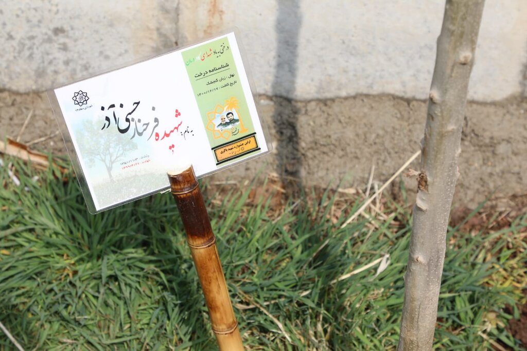 نهالهای یادبود شهدای مدافع سلامت در بیمارستان لواسانی