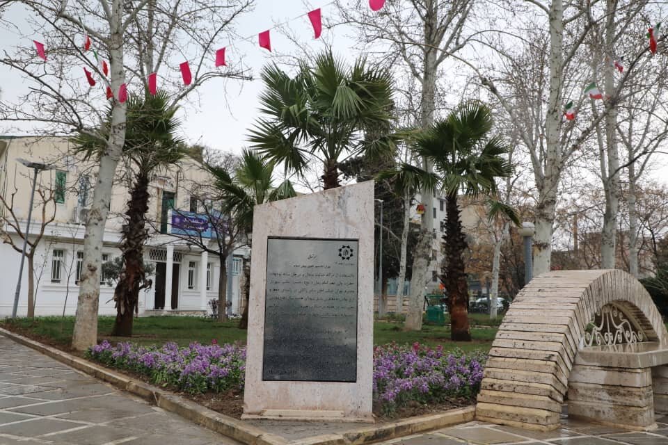 کاشت نخلهای ۴۰ ساله در چند قاب