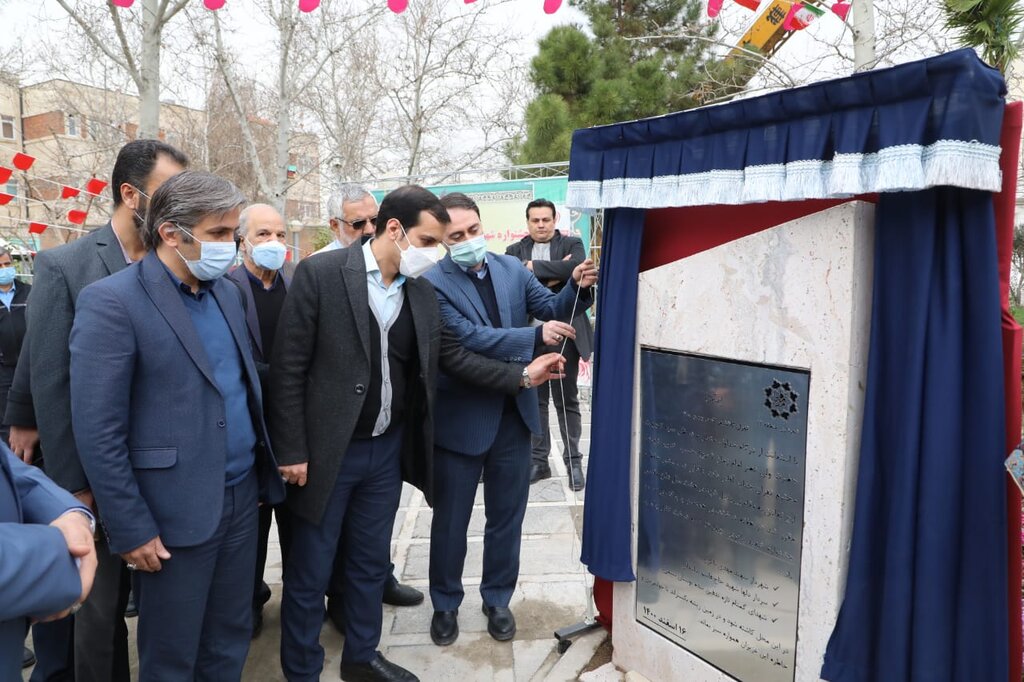 کاشت نخلهای ۴۰ ساله در چند قاب