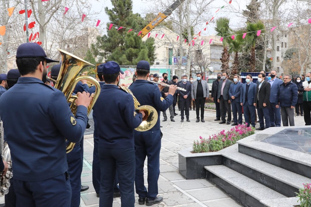 کاشت نخلهای ۴۰ ساله در چند قاب