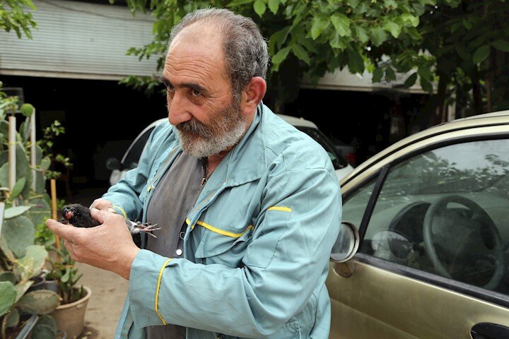 حاج علی، حیوانات آزاردیده را درمان میکند | تعمیرگاه حکیمباشی پناهگاه کبوترها و سگهای بیمار | حیوان آزاری محصول، فرزندپروری نادرست است