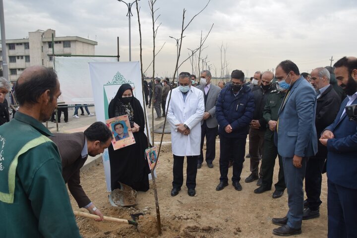 تهران صاحب بوستان جنگلی جدید میشود | برنامه ویژه شهرداری برای مقابله با ریزگردهای شهرری