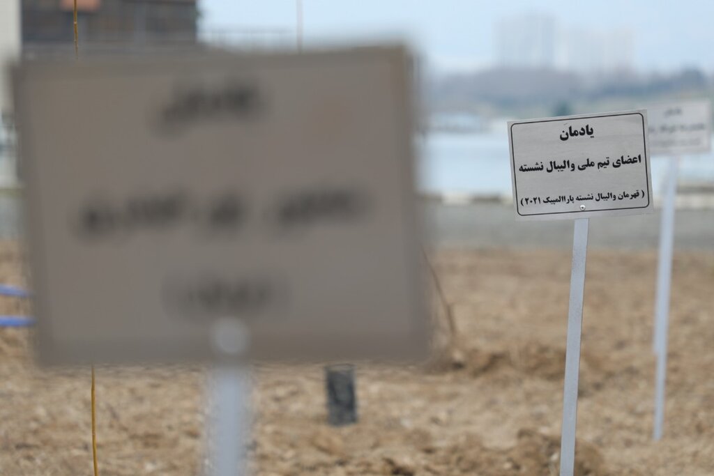 باز شدن درهای ورزشگاه آزادی به روی شهروندان
