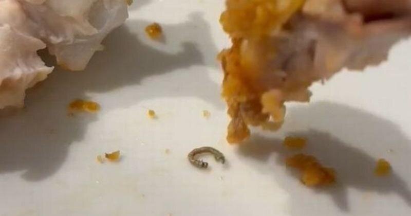 عکس | پیدا شدن کرم در غذای این رستوران معروف