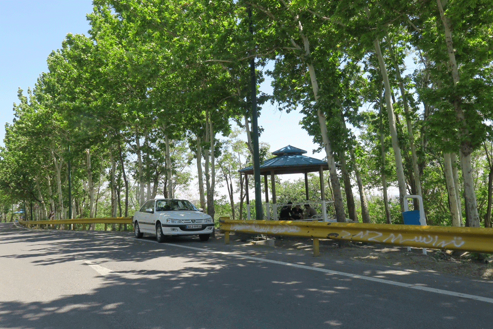 پیشنهاد گردشگری نوروزی | لذت گشت و گذار در بوستان جنگلی چیتگر