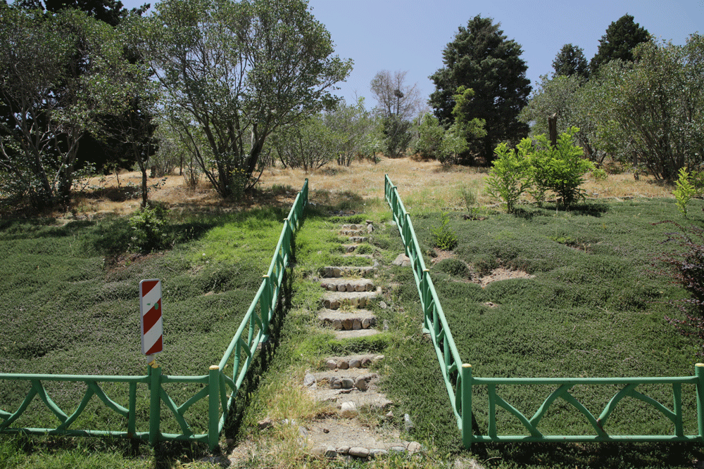 پیشنهاد گردشگری نوروزی | لذت گشت و گذار در بوستان جنگلی چیتگر