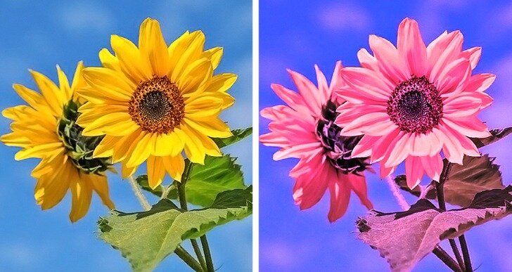 ویژگیهای بدنی عجیبی که فقط بعضیهایمان آنها را داریم