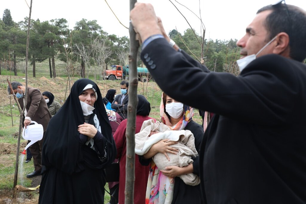 با تولد هر نوزاد یک درخت در غرب پایتخت کاشته شد | چیتگر با «نفس های تازه شهر» جان میگیرد