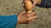 مرغانه جنگ ؛ بازی جذاب نوروزی کودکان گیلانی | رنگ کردن تخم مرغ به روش شمالی‌ها  