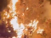 ببینید | آتش‌سوزی درختان براثر انفجار مواد محترقه در چهارشنبه‌سوری تهران