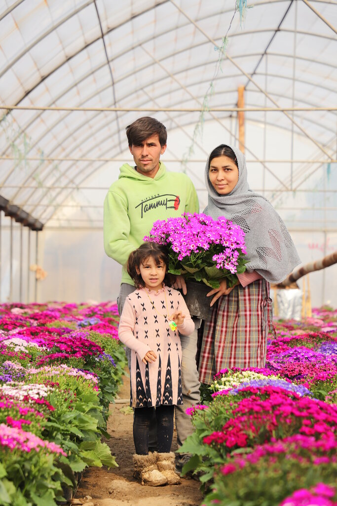 با پایتخت گل و گیاه ایران آشنا شوید | توصیه یک مزرعهدار گُل: سنبلها را دور نریزید | قیمت سنبل ۹۵ هزار تومان است!