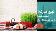 ببینید | نوروز مبارک! تبریک عید به سه زبان زنده دنیا به روایت سه سفیر در ایران
