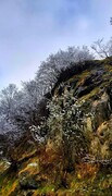تصاویر | بارش ناگهانی برف در ماسوله و غافلگیری مسافران | زیبایی طبیعت برفی شهر تاریخی گیلان در آستانه بهار