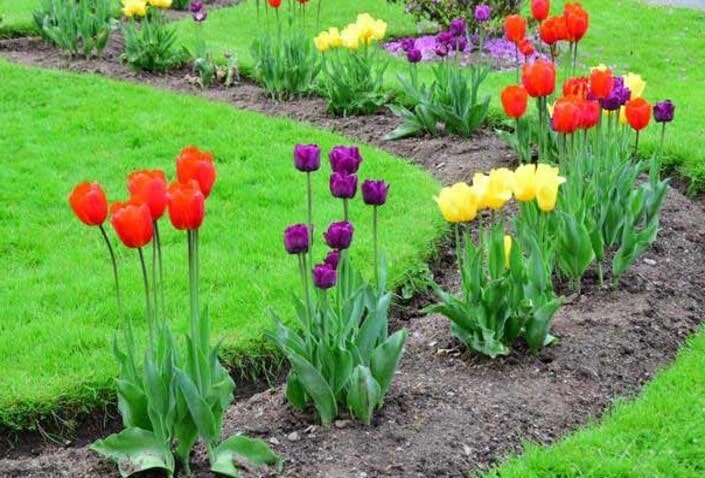 نیروهای خدماتشهری در ایام نوروز پای کارند | از لایروبی انهار، پاکسازی دیوارها و امحای برچسبهای تبلیغاتی تا پهن کردن سفره هفتسین دربوستانها