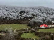 تصاویر | کلاردشت را در بهار اینگونه برفی ندیده‌اید