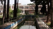 چرا مرکز ژئوفیزیک دانشگاه تهران ۲۰۰ اصله درخت را قطع کرد؟