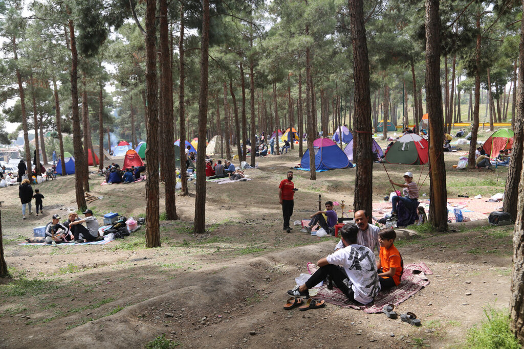 یک میلیون گردشگر، در بوستانهای جنگی منطقه ۲۲ | هیچ درختی در قطب گردشگری آسیب ندید