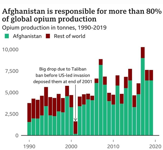 واکنش یک مقام وزارت خارجه به تصمیم طالبان برای ممنوعیت کشت خشخاش