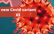 یک زیرسویه جدید اندکی واگیرتر کروناویروس شناسایی شد: اُمیکرون XE
