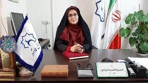 طرح هادی؛ نوشدارو پس از مرگ سهراب