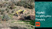 ببینید | ژئوفیزیک درختان دانشگاه تهران را قطع کرده یا جابه‌جا؟!