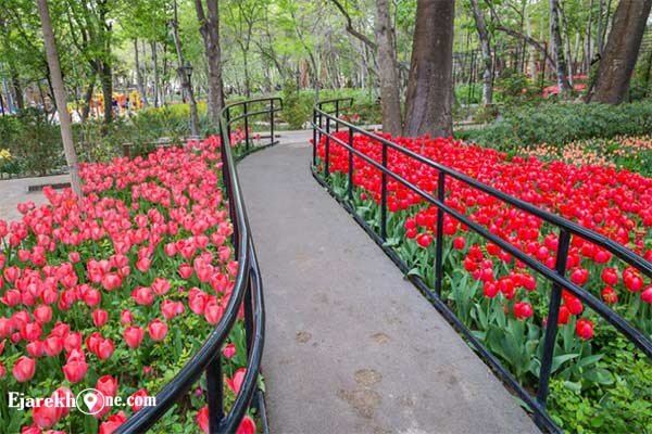  بهار در باغ ایرانی دلبری می‌کند | بهشت پر گل و سبزه را از دست ندهید