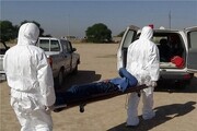 افزایش آمار مبتلایان تب کریمه کنگو در ایران؛ یک نفر فوت کرد | هشدار مهم وزارت بهداشت