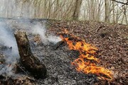 ببینید | آتش‌سوزی عمدی در بوستان نهج‌البلاغه