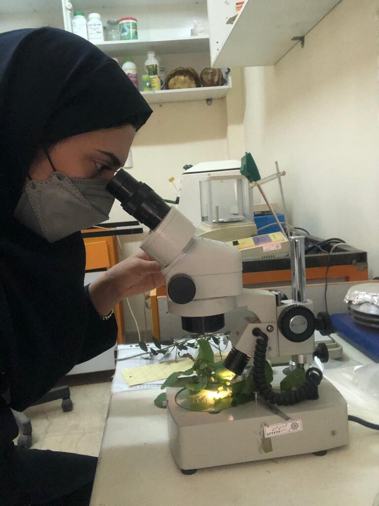 نبرد با آفات درختان | هدیه سلامتی برای درختان و درختچهها