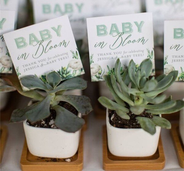 تصاویر | ایدههایی جذاب برای گیفت و هدیه مهمانی سیسمونی یا جشن تعیین جنسیت