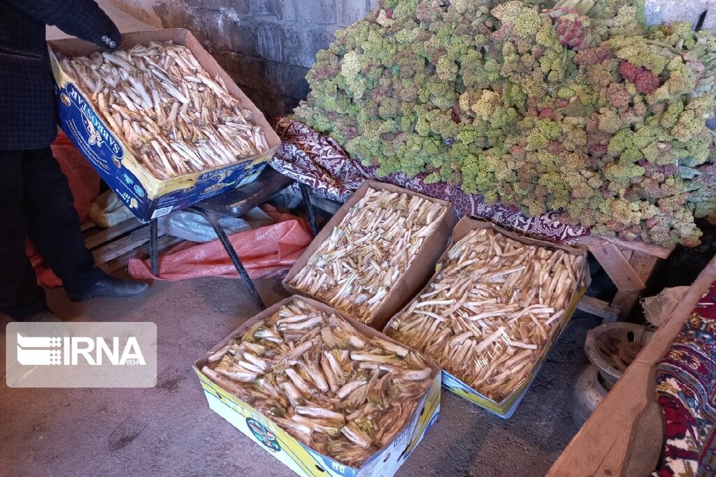 بازار داغ گیاهان بهاری؛ شما اسم این گیاهان را میدانید؟ | با دنیای پرخاصیت گیاهان ارگانیک بهاری بیشتر آشنا شوید | تصاویر