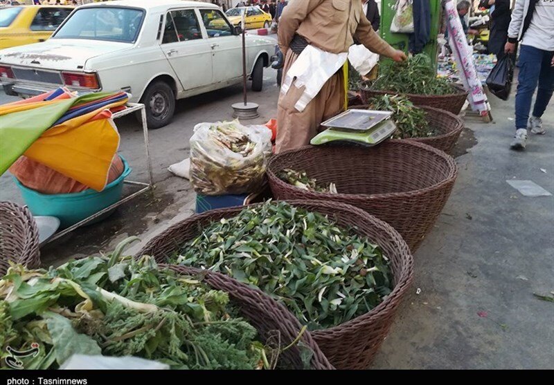 بازار داغ گیاهان بهاری؛ شما اسم این گیاهان را میدانید؟ | با دنیای پرخاصیت گیاهان ارگانیک بهاری بیشتر آشنا شوید | تصاویر